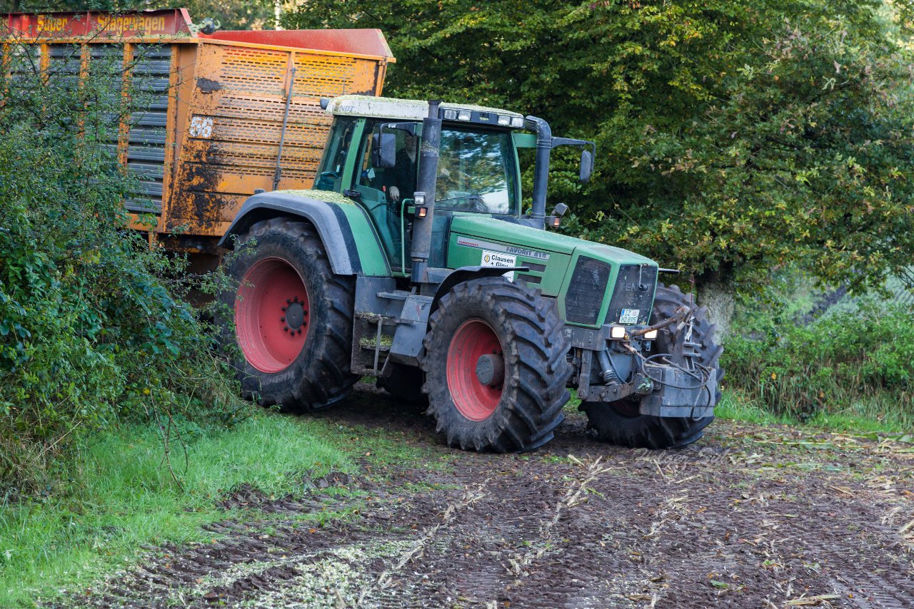 Bild 41 - Maisernte am 11.10.12